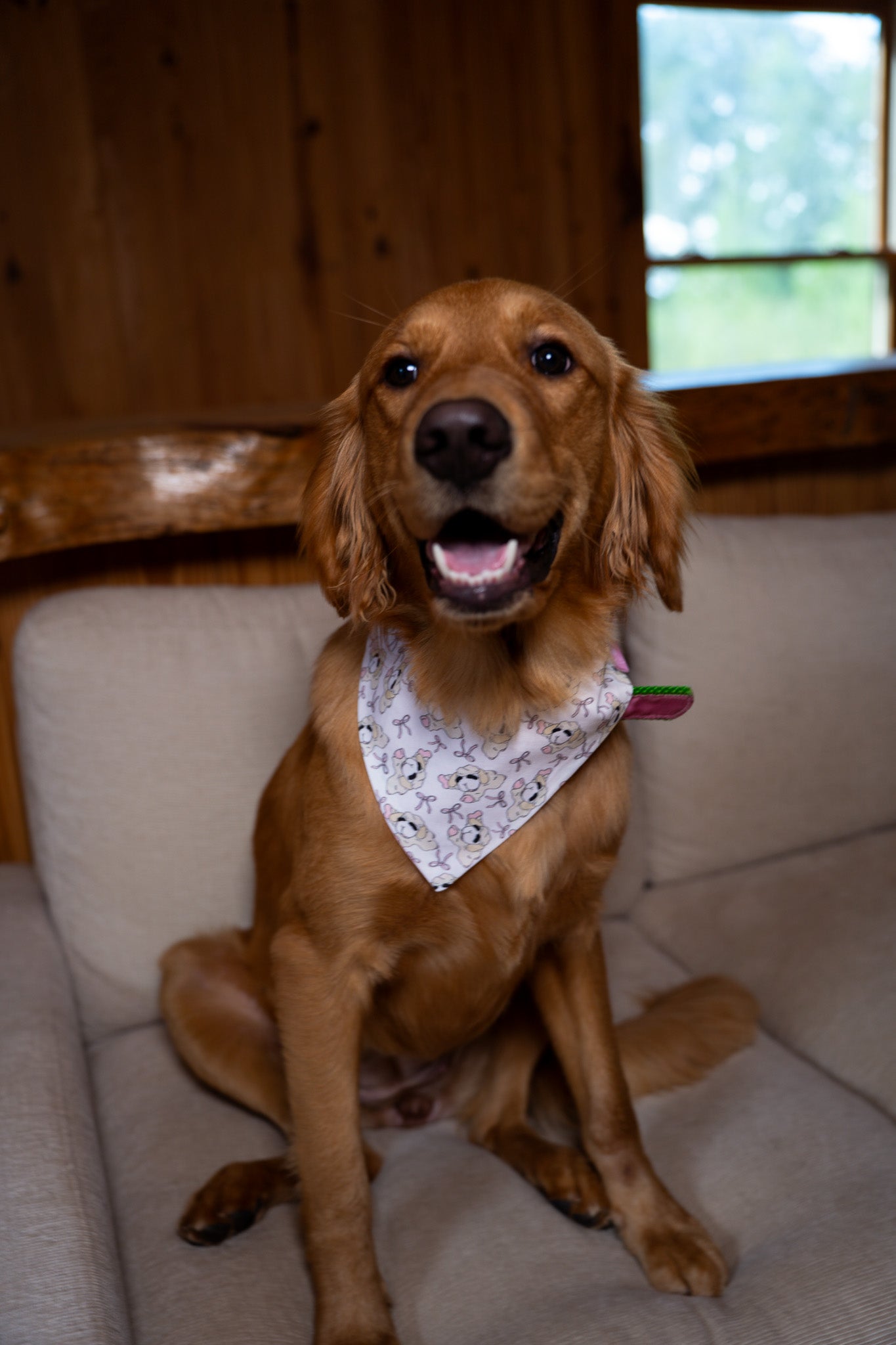 Reba's Lamby