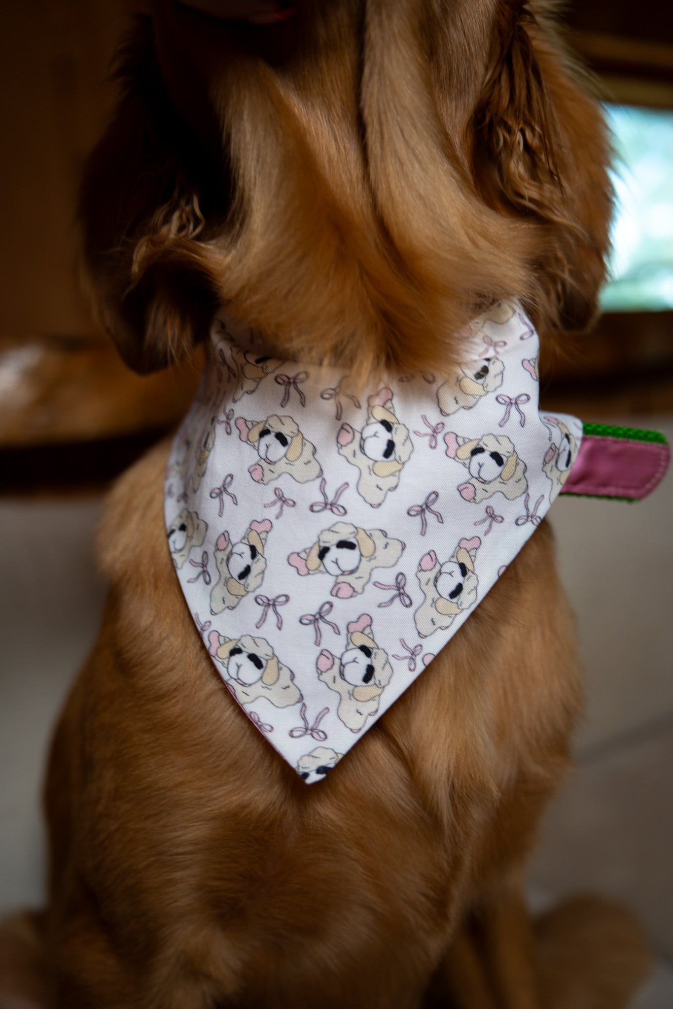 Reba's Lamby