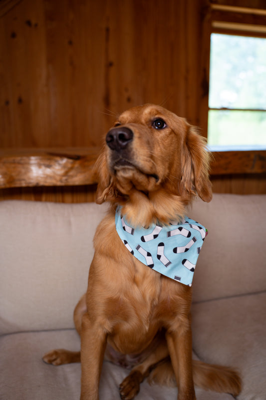 Sneaky Sock Bandit Reba