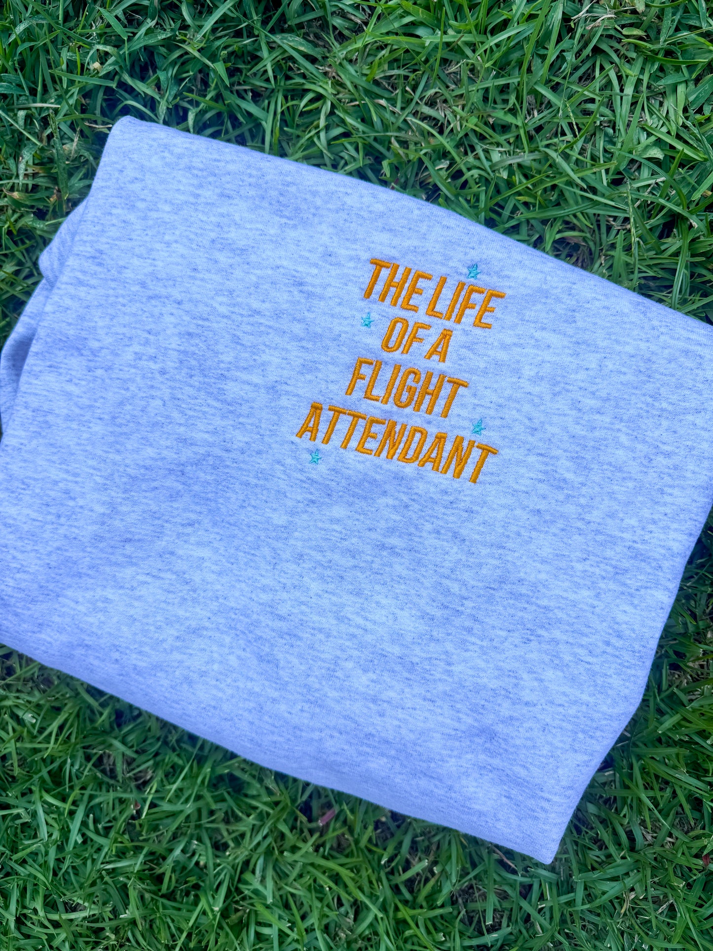 The Life Of A _____ (Custom)