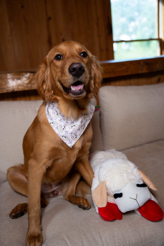 Reba's Lamby